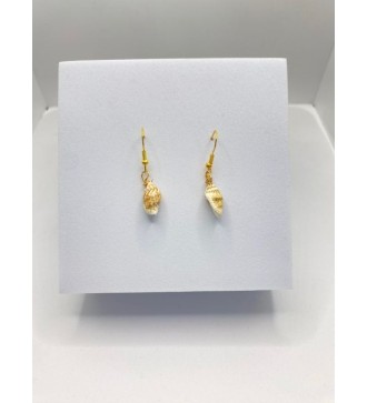 Boucles d'oreilles coquillage plaqué or 24K