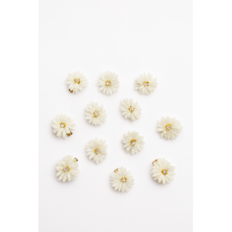 Jardin d Hiver - Barrettes fleurs blanches